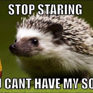 Meet your Posher, Usoshi